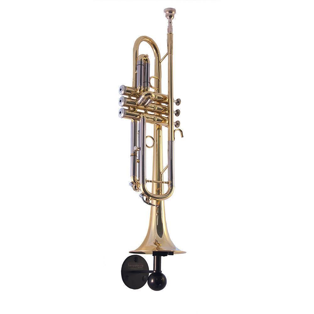 Mini Trompette Modèle avec Support Trompettes Basse Trompettes étui Laiton  Matériel Décoration pour étagère (2,56 pouces) : : Instruments de  musique et Sono